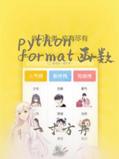 python format函数用法