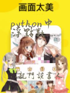 python中浮点数