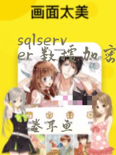 sqlserver 数据加密