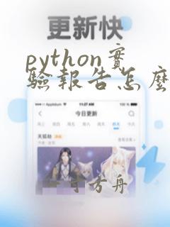 python实验报告怎么写