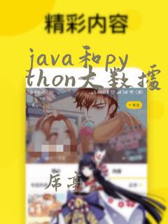 java和python大数据