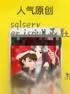 sqlserver isnull函数