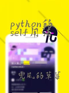 python的self用法