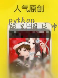 python 识别图片中文