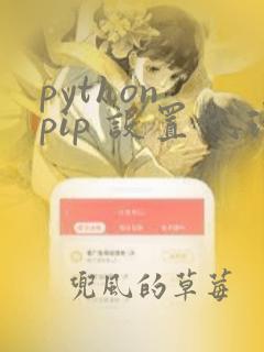 python pip 设置代理