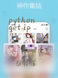 python get ip