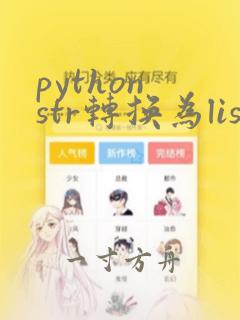 python str转换为list