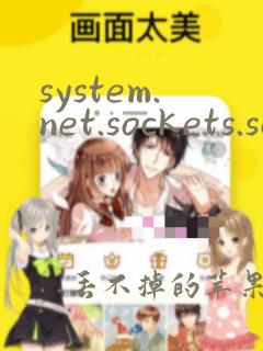 system.net.sockets.socket