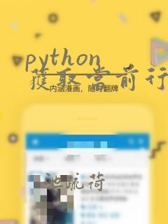 python 获取当前行数