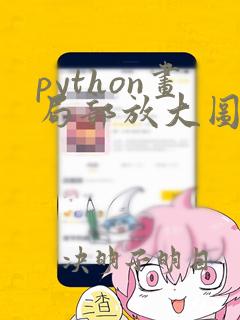 python画局部放大图