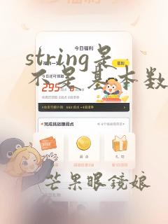 string是不是基本数据类型