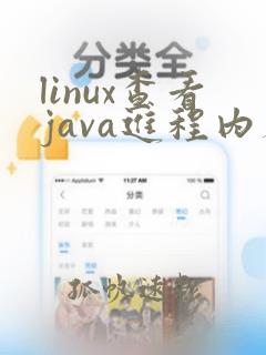 linux查看java进程内存使用情况