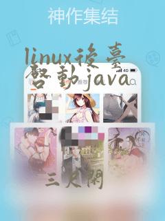 linux后台启动java