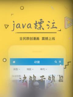 java标注
