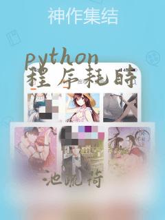 python 程序耗时