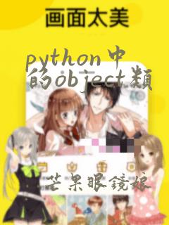 python中的object类
