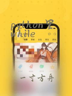 python里while