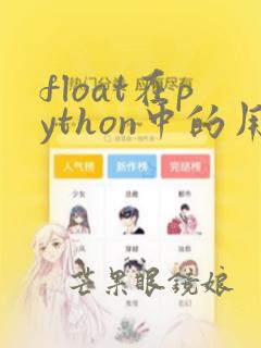 float在python中的用法