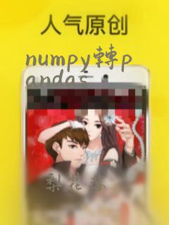 numpy转pandas