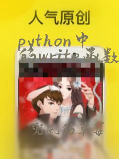 python中的write函数