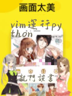 vim运行python