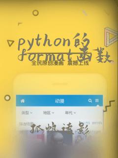 python的format函数用法