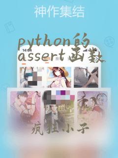 python的assert函数