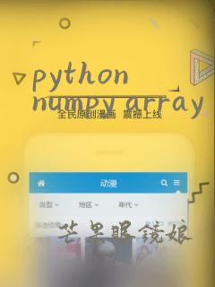 python numpy array