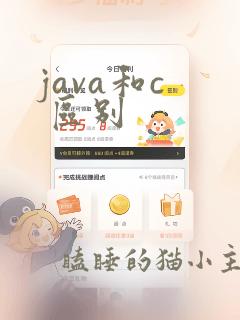 java和c 区别