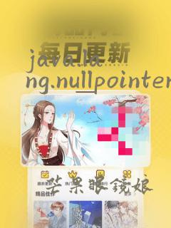 java.lang.nullpointerexception 翻译