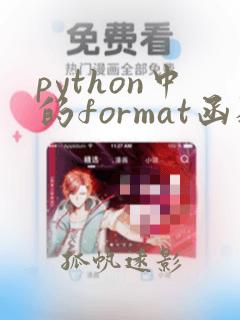 python中的format函数的作用