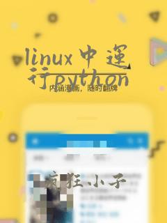 linux中运行python