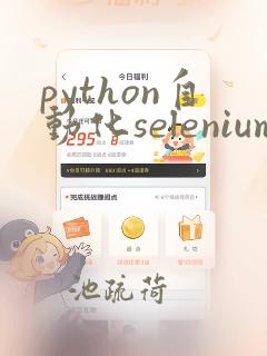 python自动化selenium