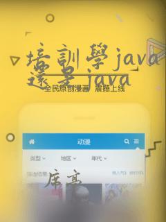 培训学java还是java