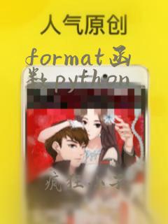 format函数python