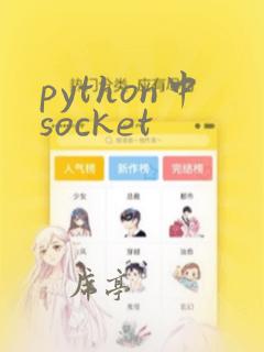 python中socket