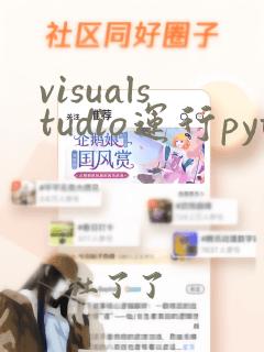 visualstudio运行python