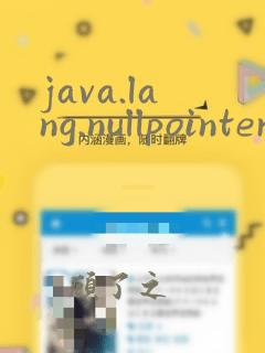 java.lang.nullpointerexception: null