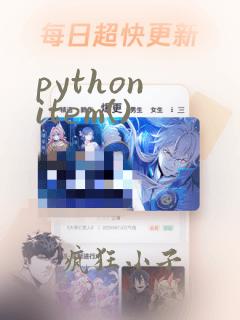 python item()