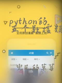 python的五个数据类型