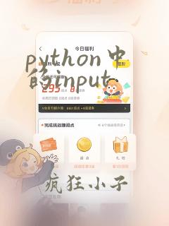 python中的input
