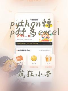 python转pdf为excel