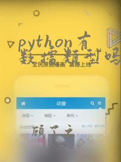 python有数据类型吗