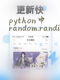 python中random.randint()函数用法