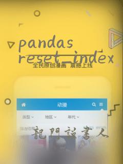 pandas reset_index
