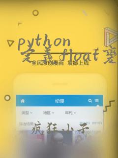 python 定义float变量