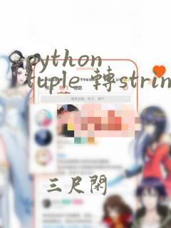python tuple 转string