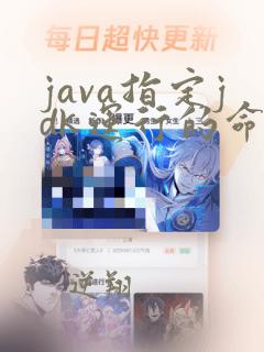 java指定jdk运行的命令