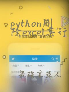 python删除excel某行
