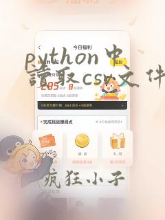 python中读取csv文件